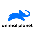 ANIMAL PLANET