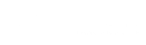MEGACONEXIÓN